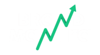 brandmanthra.com
